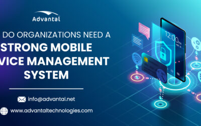 Why Do Organizations Need a Strong Mobile Device Management System?