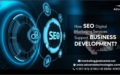 How SEO Digital Marketing Services Support Business Development?