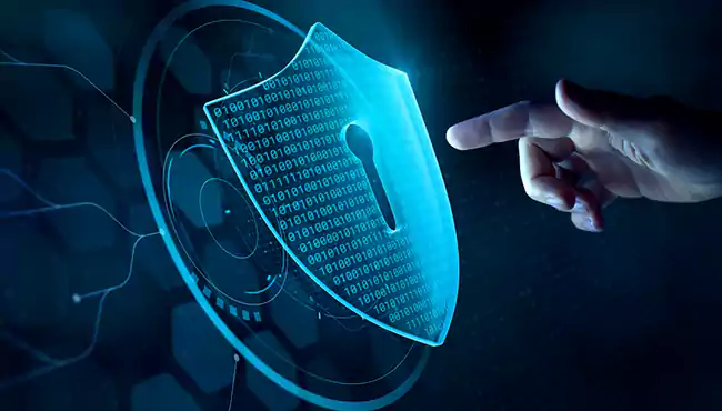 products-shield-crypt