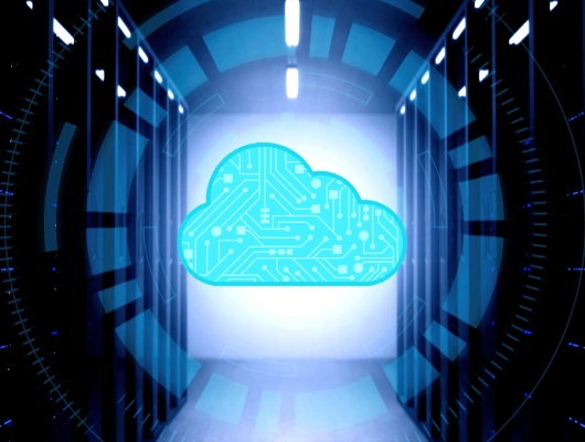 backup-manager-solution